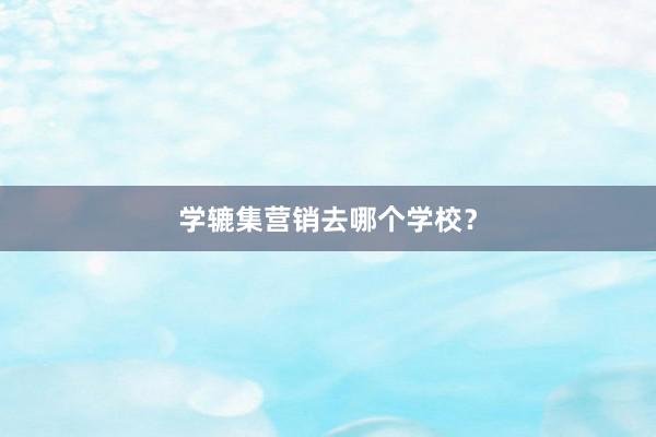 学辘集营销去哪个学校？